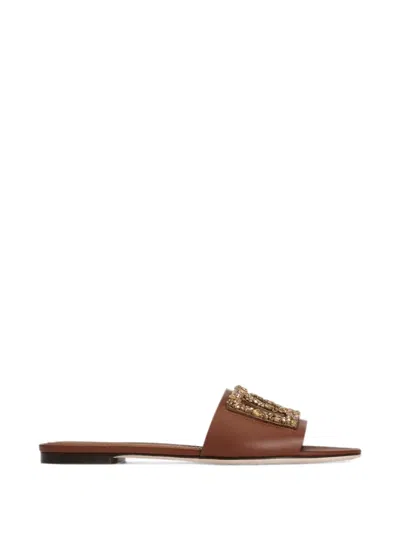 Dolce & Gabbana Flat Slides In Calfskin With Embroidery In Brown