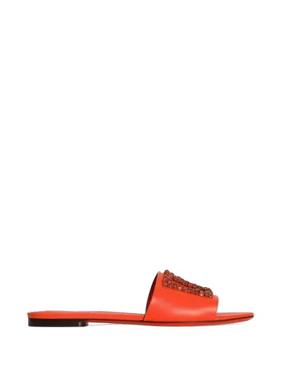 Dolce & Gabbana Flat Slides In Calfskin With Embroidery In Orange