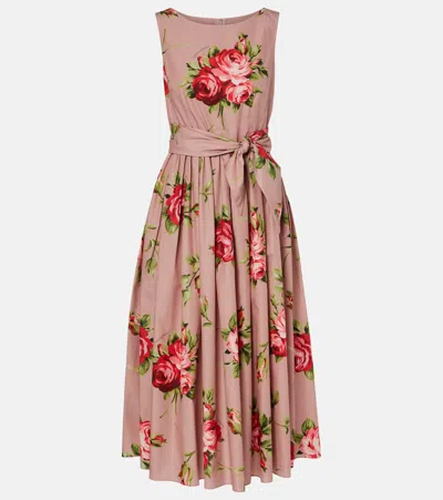 Dolce & Gabbana Rose Bouquet Print Belted Midi Dress In Pink