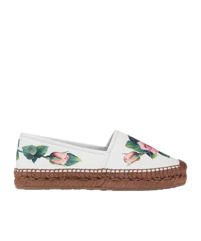 Dolce & Gabbana Floral Canvas Espadrilles In White