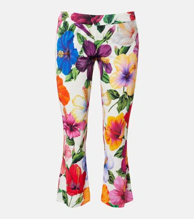Dolce & Gabbana Floral Capri Pants In Multi