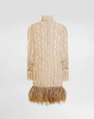 Dolce & Gabbana Dolce&gabbana Lace Feather-trim Mini Dress In Brown