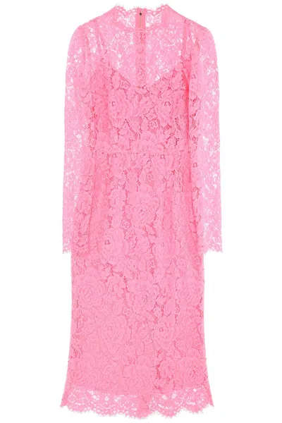 Dolce & Gabbana Floral Corded Lace Midi Dress In Pink For Women