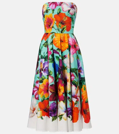 Dolce & Gabbana Floral Cotton Bustier Dress In Multi