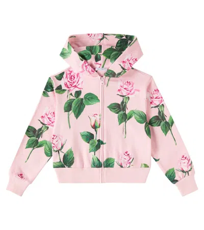 Dolce & Gabbana Floral Cotton Jersey Hoodie In Pink