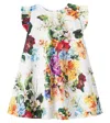 Dolce & Gabbana Floral-print Poplin Dress In Multi