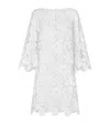 Dolce & Gabbana Embroidered Mesh Minidress In Multi
