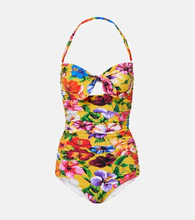 Dolce & Gabbana Floral Cutout Swimsuit In Multi