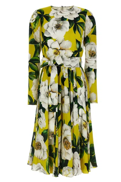 Dolce & Gabbana Waist Belt Crew Neck Floral Print Dress In Multicolor
