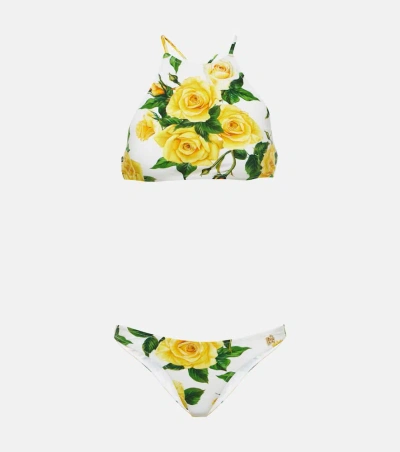 Dolce & Gabbana Floral Halterneck Bikini Top In Multicolor