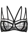 Dolce & Gabbana Lace Balconette Bra In Black