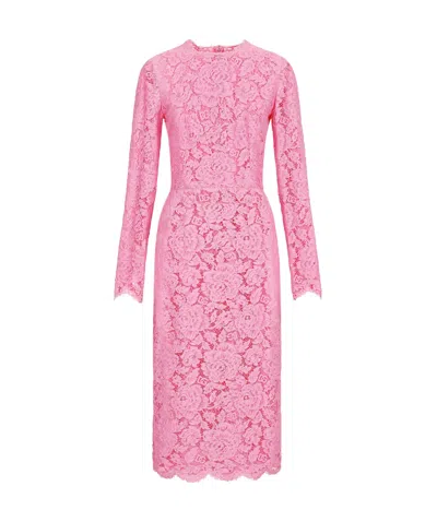 DOLCE & GABBANA DOLCE  GABBANA BRANDED FLORAL CORDONETTO LACE SHEATH DRESS