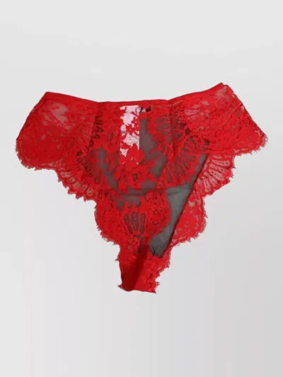 Dolce & Gabbana Floral Lace Sheer Briefs Women Underwear