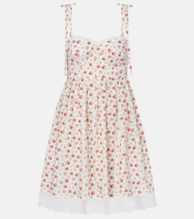 Dolce & Gabbana Floral Lace-trimmed Cotton-blend Poplin Minidress In White