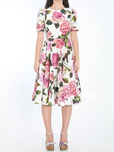Dolce & Gabbana Floral Midi Dress In Multicolour
