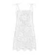 Dolce & Gabbana Minidress With Floral Openwork In Multi