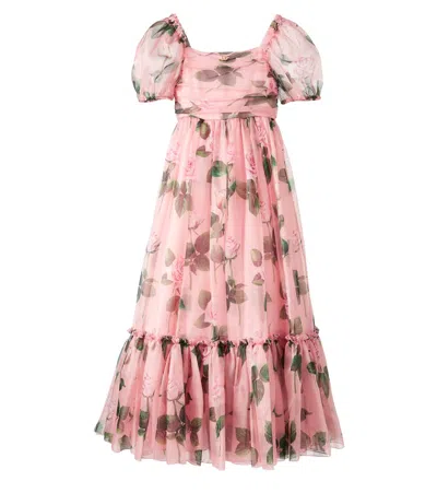 Dolce & Gabbana Kids' Floral Organza Dress In Rose C/stelo F.rosa