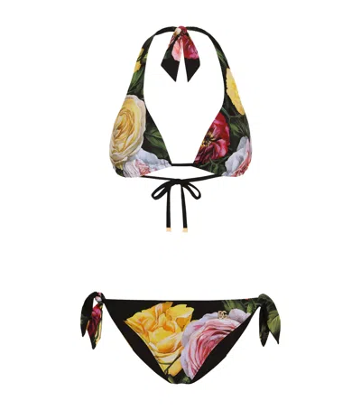 Dolce & Gabbana Floral Padded Triangle Bikini In Multi