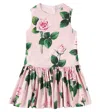 Dolce & Gabbana Floral Pleated Cotton Dress In Pink