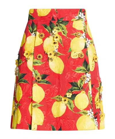 Dolce & Gabbana Floral Print A-line Dress In Red
