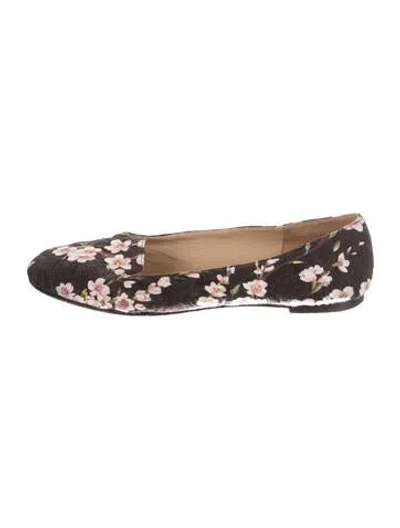 Pre-owned Dolce & Gabbana Floral Print Ballet Flats In Black