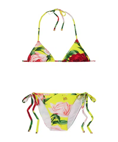 Dolce & Gabbana Floral-print Bikini In Multi