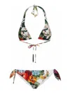 Dolce & Gabbana Two-piece Swimsuit With Floral Motif In Multi