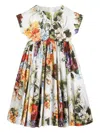 Dolce & Gabbana Kleid Aus Baumwollpopeline In Multi