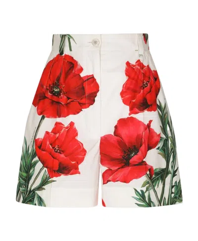 Dolce & Gabbana Floral-print Cotton Tailored Shorts In Multi