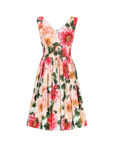 Dolce & Gabbana Floral-print Dress In Multicolor