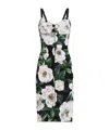 Dolce & Gabbana Black Stretch Marquisette Midi Dress In White