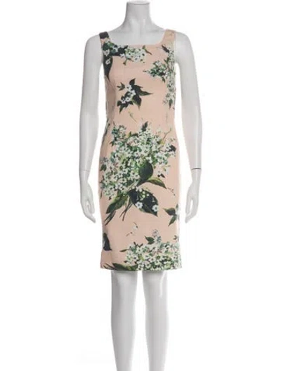 Pre-owned Dolce & Gabbana Floral Print Knee-length Dress In Multi