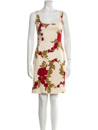 Pre-owned Dolce & Gabbana Floral Print Knee-length Dress In Neutral