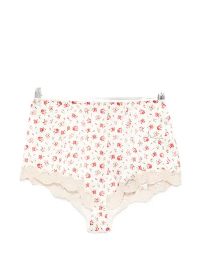 Dolce & Gabbana Floral-print Lace Briefs In Multi