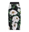 Dolce & Gabbana Gardenia Printed Marquisette Midi Skirt