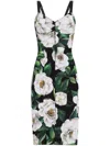 Dolce & Gabbana Floral-print Mini Dress In Black