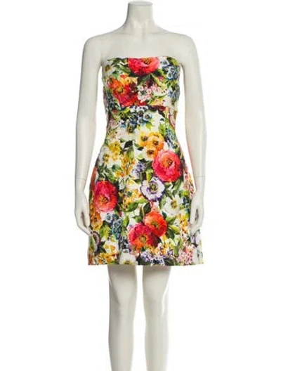 Pre-owned Dolce & Gabbana Floral Print Mini Dress In Multi