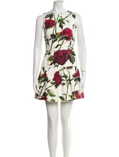 Pre-owned Dolce & Gabbana Floral Print Mini Dress In Neutral