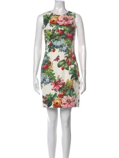 Pre-owned Dolce & Gabbana Floral Print Mini Dress In Neutral