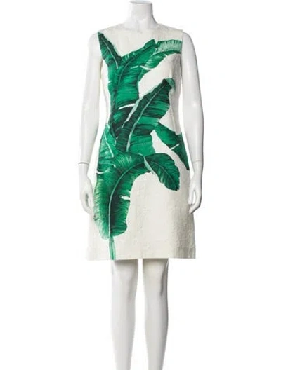 Pre-owned Dolce & Gabbana Floral Print Mini Dress In White