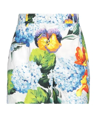 Dolce & Gabbana Floral Print Pants In Multi
