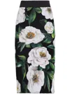 Dolce & Gabbana Gardenia Printed Marquisette Midi Skirt In Schwarz