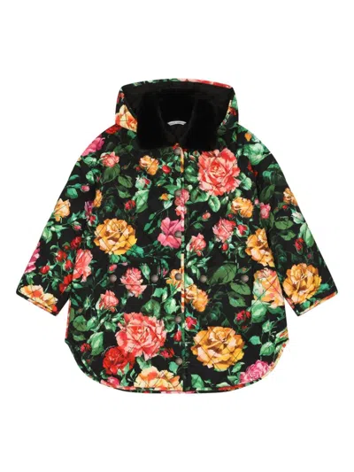 Dolce & Gabbana Kids' Floral-print Quilted Padded Jacket In Black