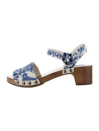 Pre-owned Dolce & Gabbana Floral Print Sandals In Blue