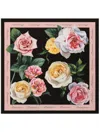 Dolce & Gabbana Floral-print Scarf In Black