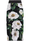 Dolce & Gabbana Gardenia Printed Marquisette Midi Skirt In Black