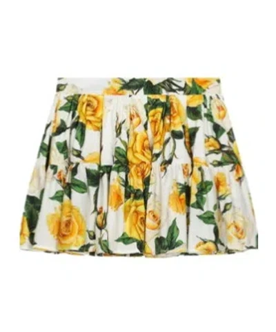 Dolce & Gabbana Floral-print Skirt In Multicolor