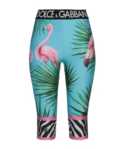 Dolce & Gabbana Floral Print Stretch Pants In Multi