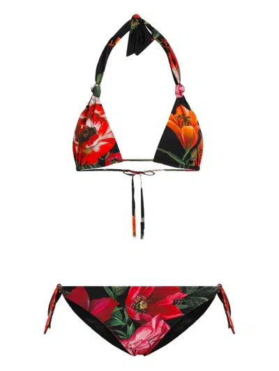 Dolce & Gabbana Floral-print Swimsuit In Brown