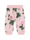 Dolce & Gabbana ローズプリント コットンフリース ジョギングパンツ In Pink